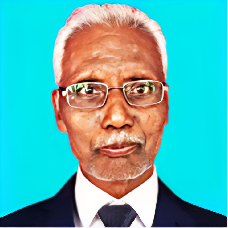 Honorary President